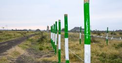 Blossom Dew Gardens V – KAMAKIS (EXCLUSIVE)