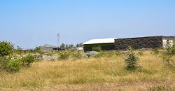 Blossom Dew Gardens V – KAMAKIS (EXCLUSIVE)