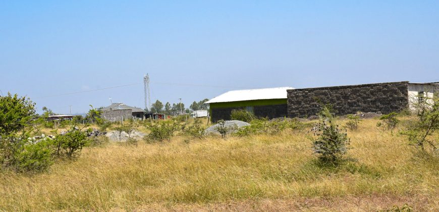 Blossom Dew Gardens V – KAMAKIS (EXCLUSIVE)