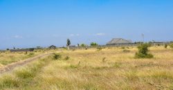 Blossom Dew Gardens V – KAMAKIS (EXCLUSIVE)