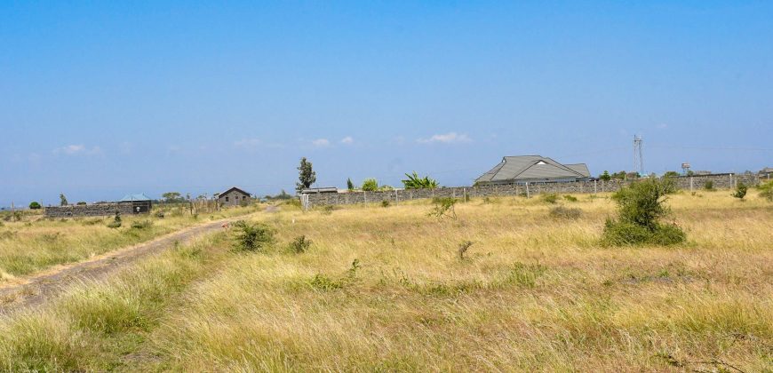 Blossom Dew Gardens V – KAMAKIS (EXCLUSIVE)