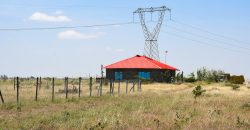 Blossom Dew Gardens V – KAMAKIS (EXCLUSIVE)