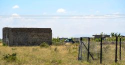 Blossom Dew Gardens V – KAMAKIS (EXCLUSIVE)