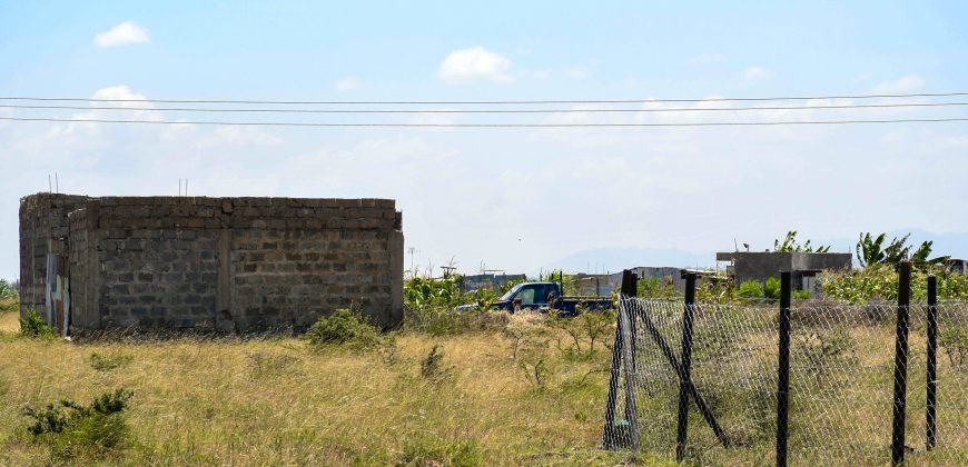 Blossom Dew Gardens V – KAMAKIS (EXCLUSIVE)