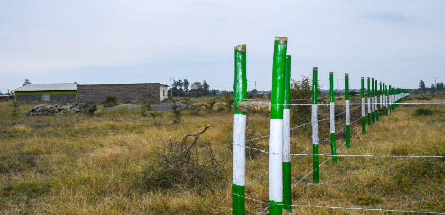 Blossom Dew Gardens V – KAMAKIS (EXCLUSIVE)