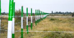 Blossom Dew Gardens V – KAMAKIS (EXCLUSIVE)