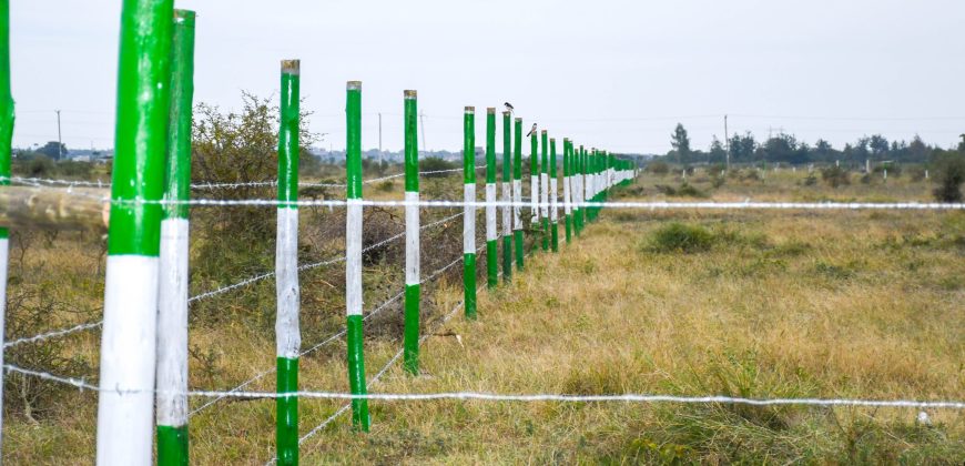 Blossom Dew Gardens V – KAMAKIS (EXCLUSIVE)