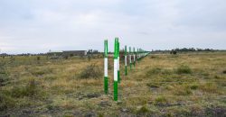 Blossom Dew Gardens V – KAMAKIS (EXCLUSIVE)