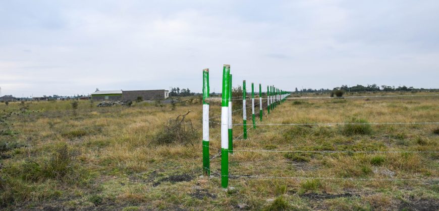 Blossom Dew Gardens V – KAMAKIS (EXCLUSIVE)