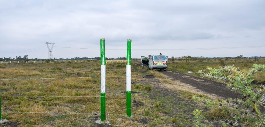 Blossom Dew Gardens V – KAMAKIS (EXCLUSIVE)