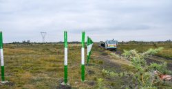 Blossom Dew Gardens V – KAMAKIS (EXCLUSIVE)