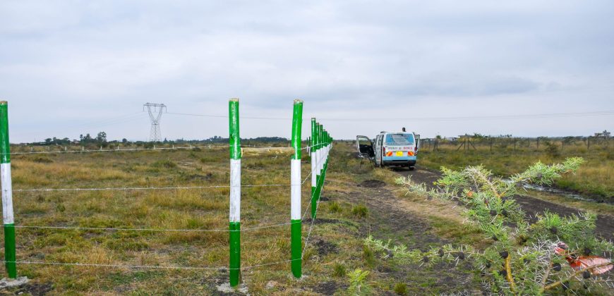 Blossom Dew Gardens V – KAMAKIS (EXCLUSIVE)