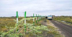 Blossom Dew Gardens V – KAMAKIS (EXCLUSIVE)