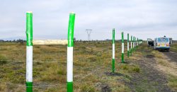 Blossom Dew Gardens V – KAMAKIS (EXCLUSIVE)