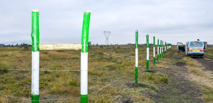 Blossom Dew Gardens V – KAMAKIS (EXCLUSIVE)