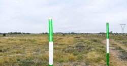 Blossom Dew Gardens V – KAMAKIS (EXCLUSIVE)