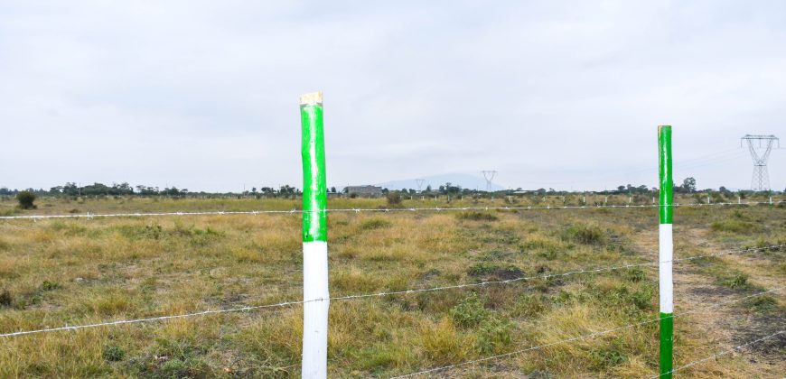 Blossom Dew Gardens V – KAMAKIS (EXCLUSIVE)