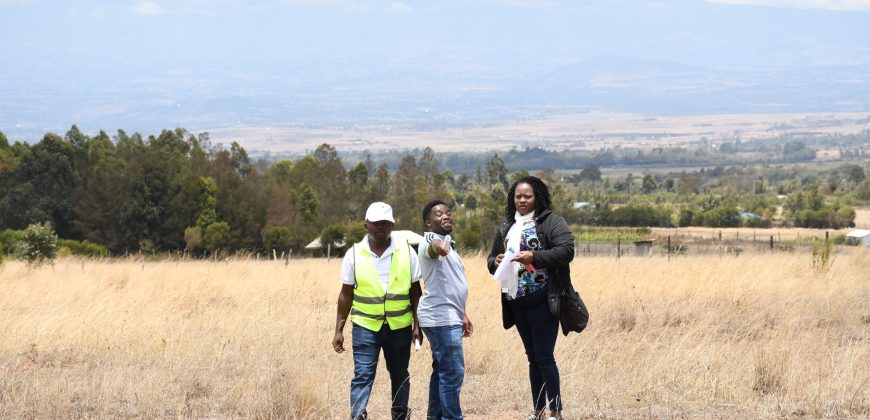 Greenfield Gardens – Nyeri, Chaka (ALL INCLUSIVE)