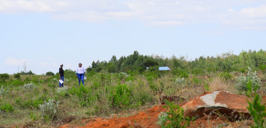 Scilla Gardens Phase 5 – Nyahururu Gwa Kungu (EXCLUSIVE)
