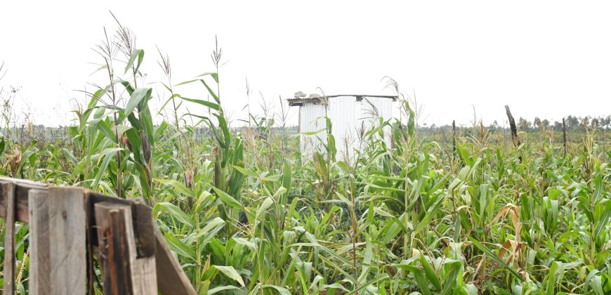 Scilla Gardens Phase 5 – Nyahururu Gwa Kungu (EXCLUSIVE)