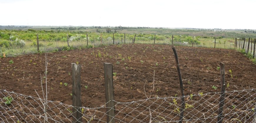 Scilla Gardens Phase 5 – Nyahururu Gwa Kungu (EXCLUSIVE)