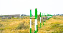 Blossom Dew Gardens V – KAMAKIS (EXCLUSIVE)