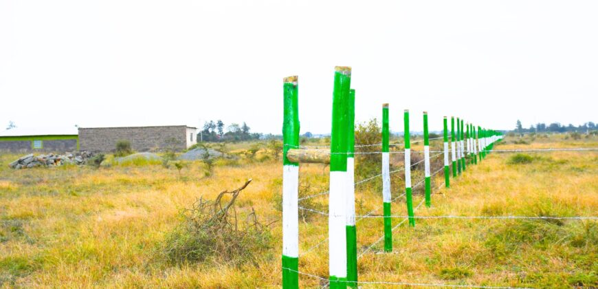 Blossom Dew Gardens V – KAMAKIS (EXCLUSIVE)