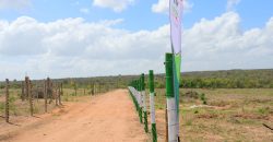 Almasi Gardens – Matuu (INCLUSIVE)