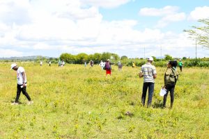 Eastern Breeze Gardens - Joska Malaa (INCLUSIVE)