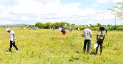 Eastern Breeze Gardens – Joska Malaa (INCLUSIVE)