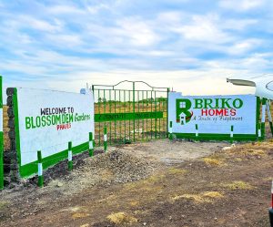 briko homes murage