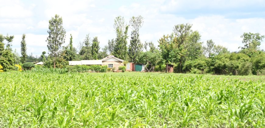 Neema Gardens – Sagana