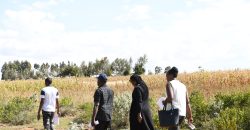 Scilla Garden – Nyahururu