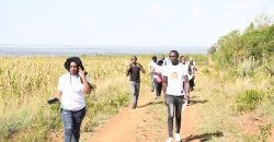 Scilla Garden – Nyahururu