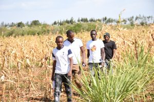 Scilla Garden Nyahururu land for sale by briko homes kenya (7)