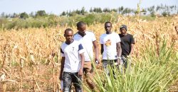 Scilla Garden – Nyahururu