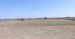 Victory Gardens –  Juja Mastore