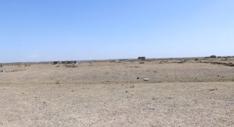 Victory Gardens –  Juja Mastore