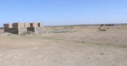 Victory Gardens –  Juja Mastore