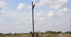 Victory Gardens –  Juja Mastore