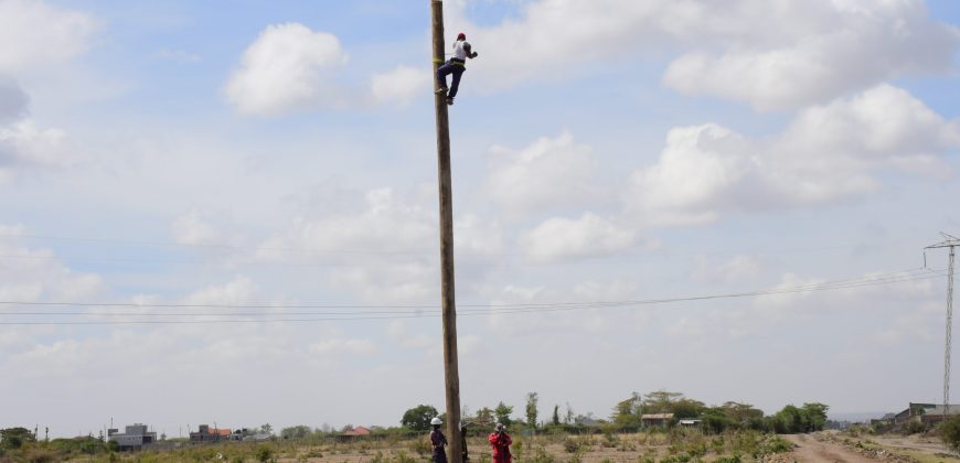 Victory Gardens –  Juja Mastore